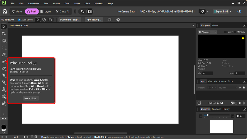 /images/the-paint-brush-tool-description.png