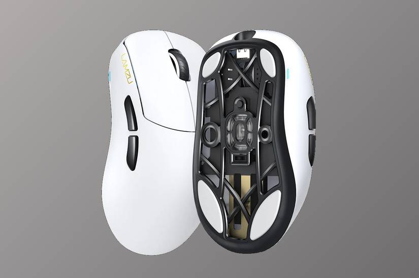 /images/top-and-bottom-of-lamzu-thorn-wireless-gaming-mouse.jpg