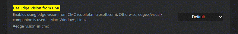 /images/use-Edge-Vision-from-microsoft-Copilot-website.png