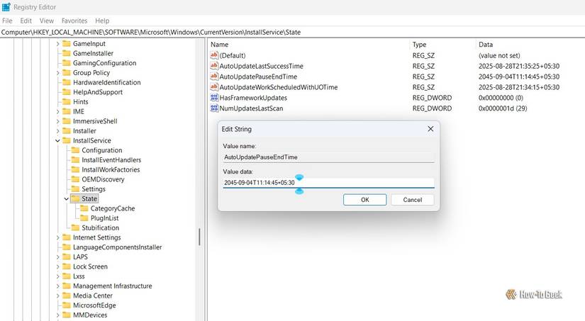 /images/value-data-field-of-the-autoupdatepauseendtime-string.jpg