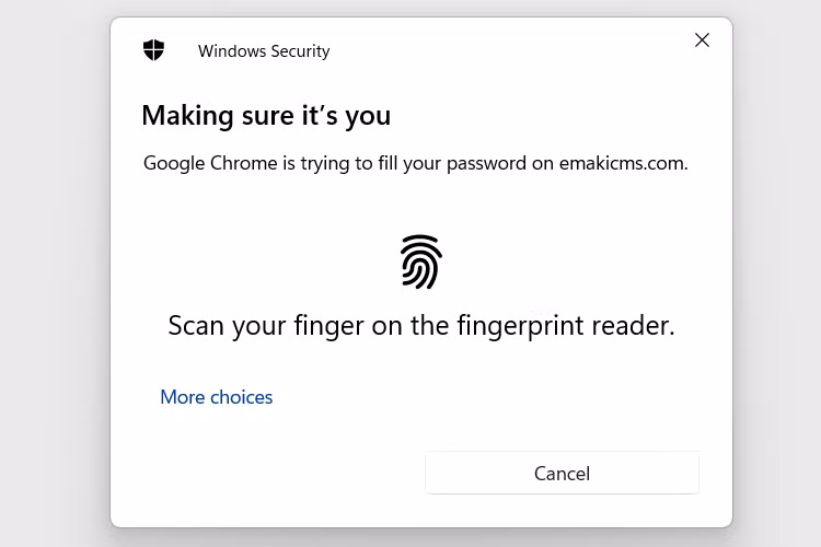 /images/verify-sign-in-fingerprint-windows-hello.png