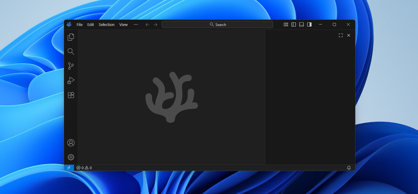 /images/vscodium-open-on-windows-11-with-the-windows-11-background-visible.png