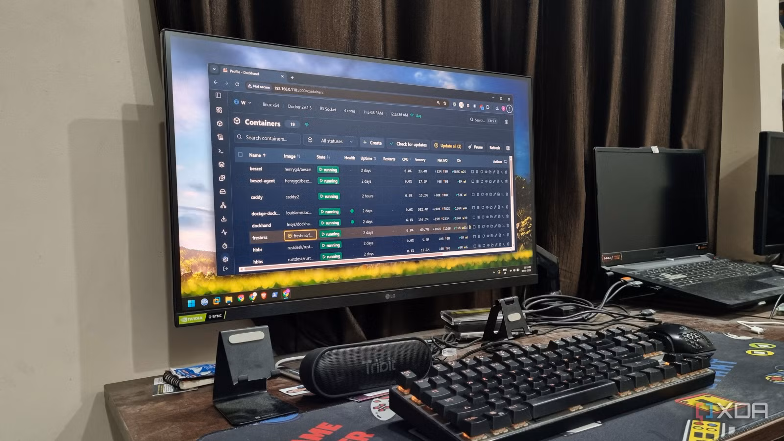 /images/windows-11-pc-running-dockhand-dashboard.jpg