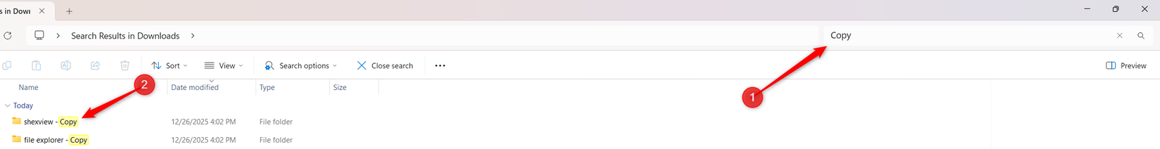 /th/images/4-filtering-the-duplicate-files-in-the-downloads-folder.png