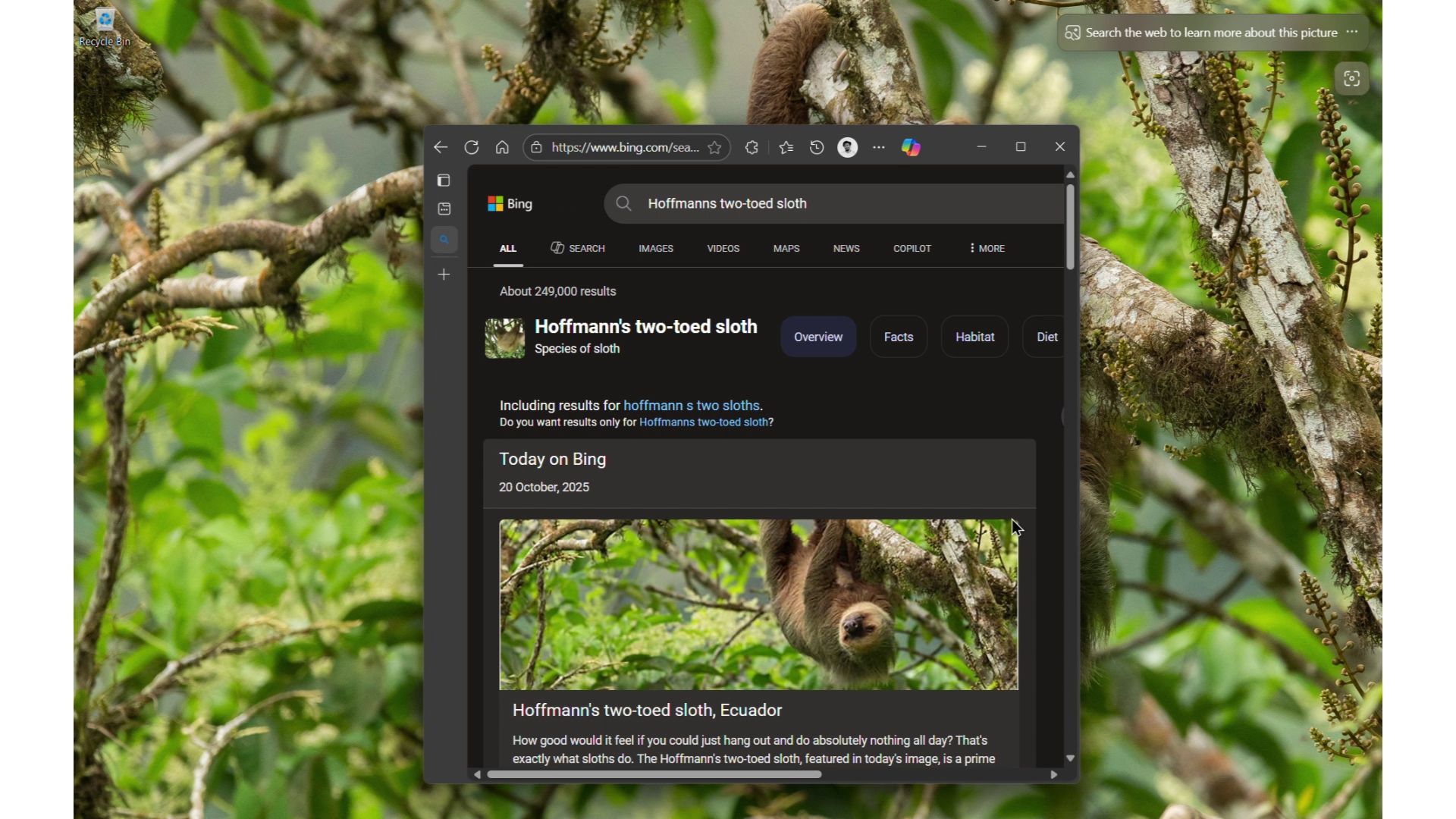 /th/images/Bing-Wallpaper-app-opened-browser-after-clicking-on-the-desktop-wallpaper.jpg