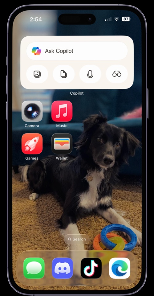 /th/images/Copilot-widget-for-iOS.jpg