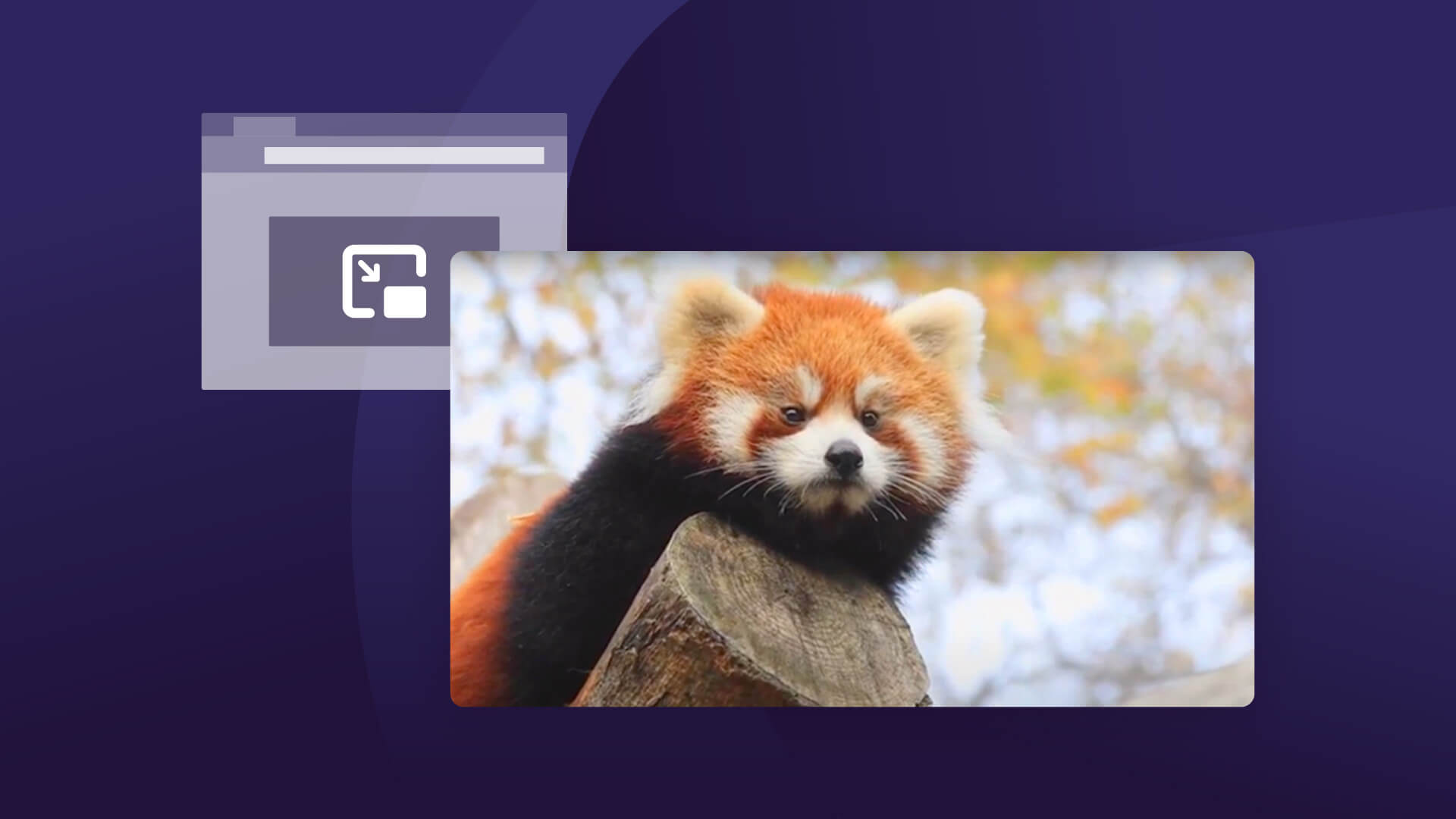 /th/images/Mozilla-grduates-Auto-PiP-from-Firefox-Labs-as-feature.jpg