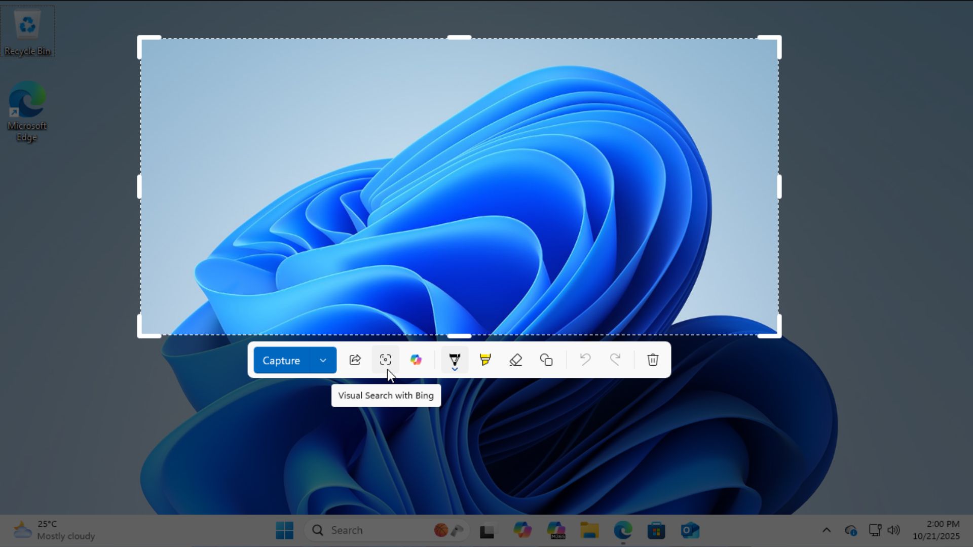 /th/images/Sniping-Tool-with-Visual-Search-is-an-alternative-to-Google-Lens.jpg
