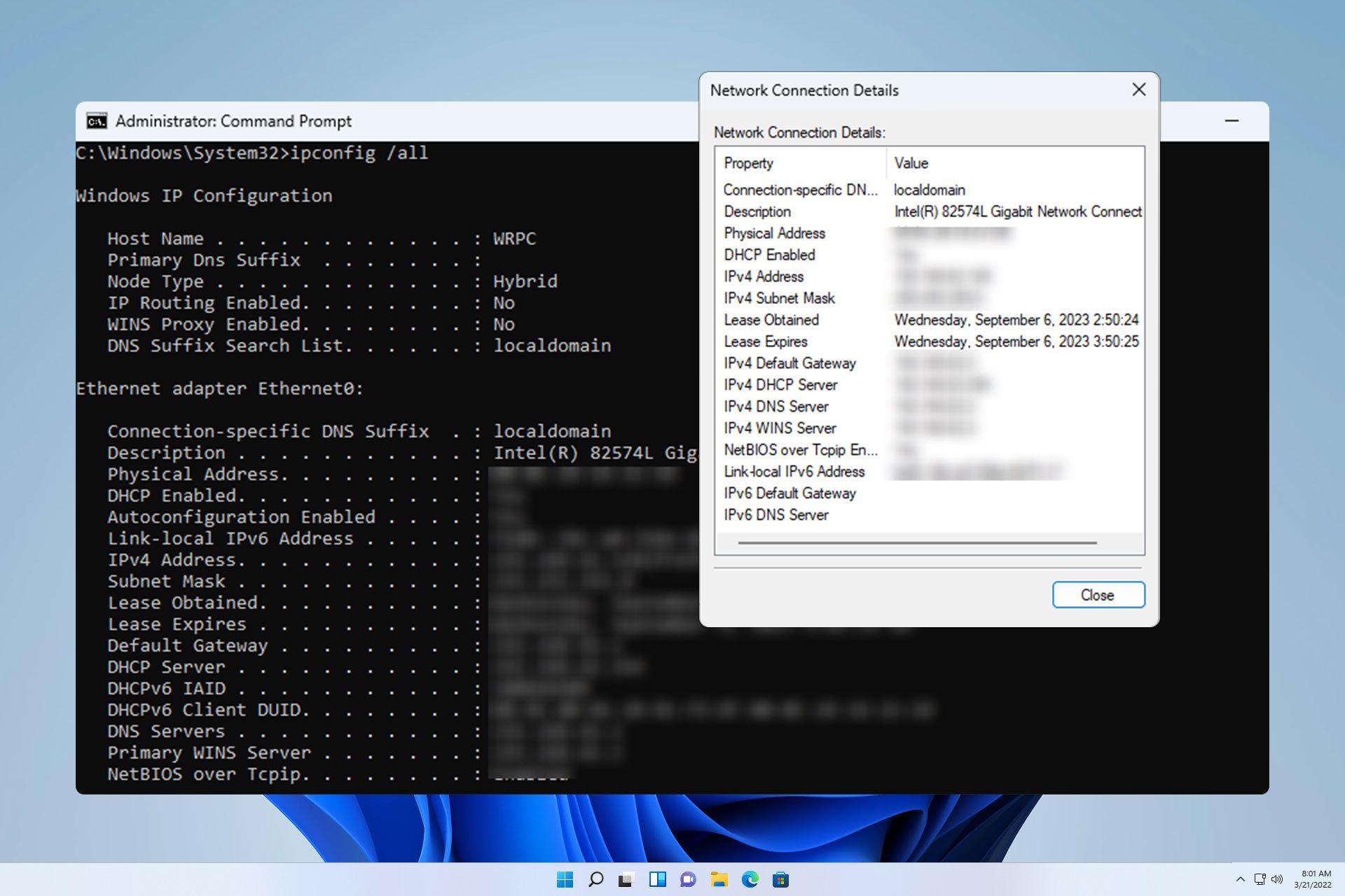 /th/images/network-connection-details-windows-11.jpg