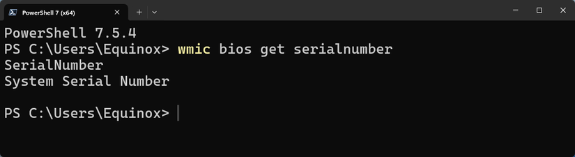 /th/images/no-serial-number-visible-in-the-terminal.png