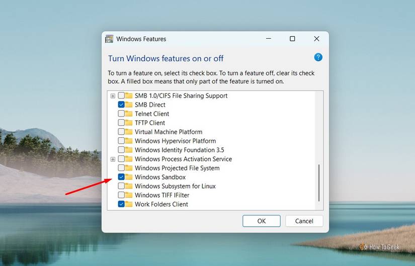 /th/images/windows-sandbox-option-in-the-windows-features-window.jpg